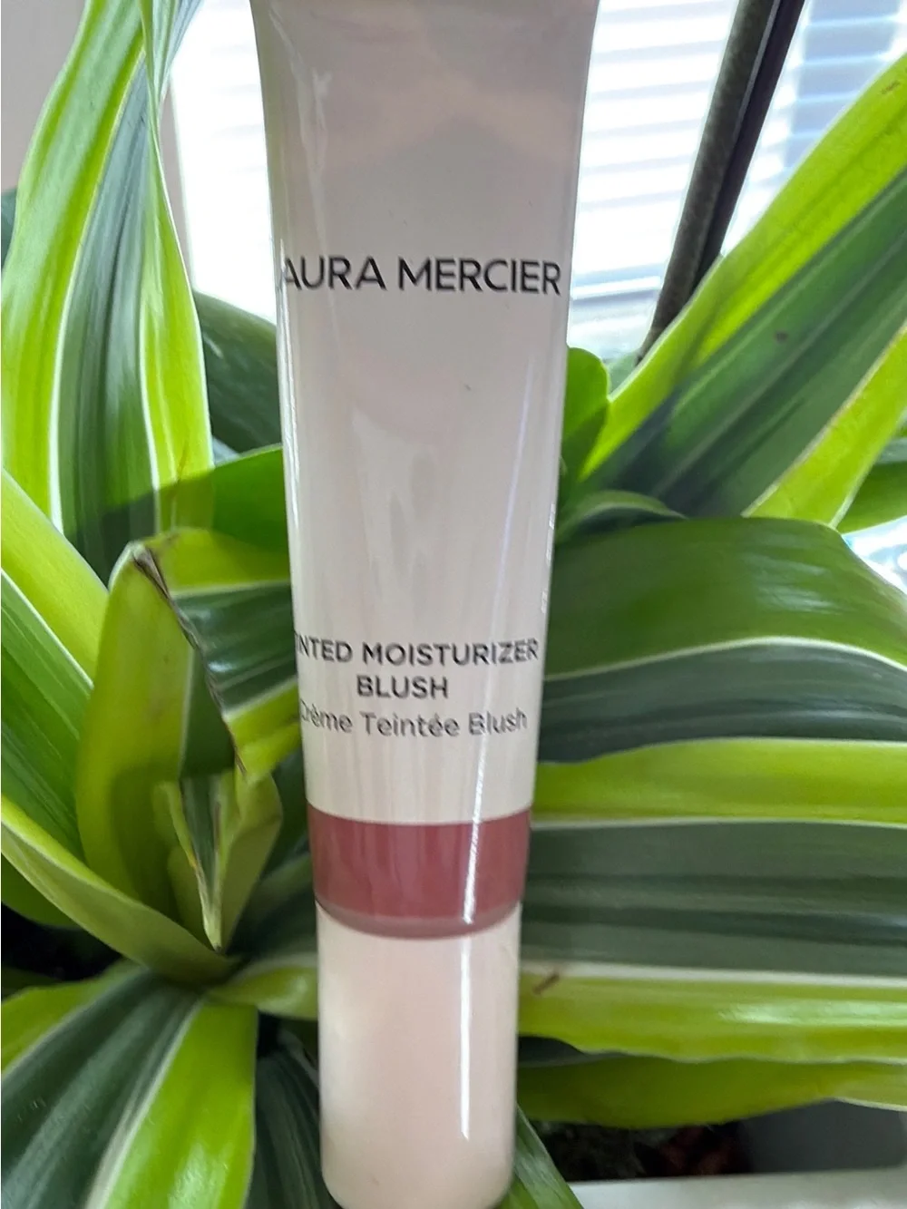 laura mercier Tinted Moisturizer Blush - Dusty Rose Tone, PROMENADE